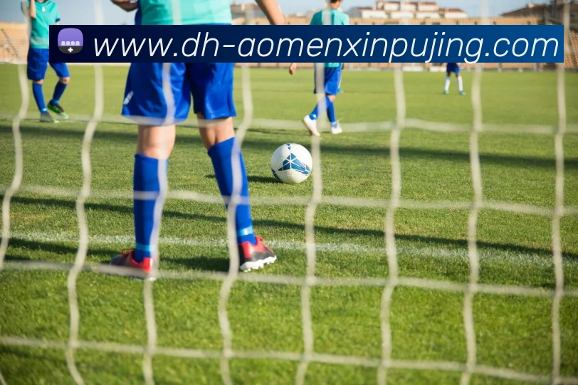 澳门新葡京娱乐APP 封面图